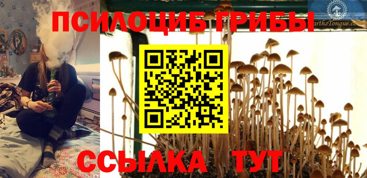 Бузулук  Галлюциногенные грибы прущие грибы  продажа наркотиков  Вход с VPN 